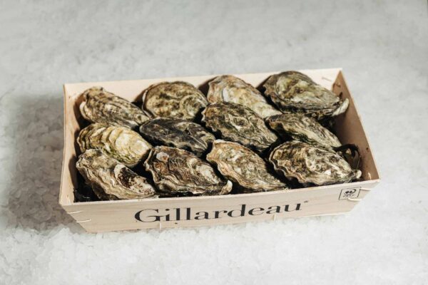 Gillardeau - Afbeelding 2